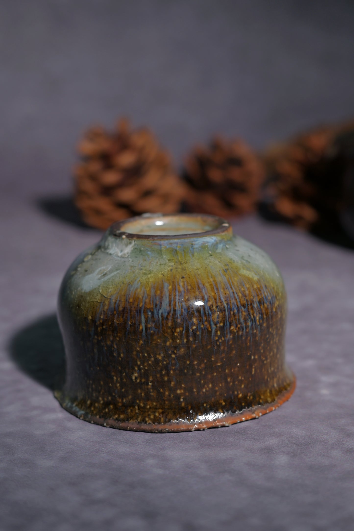 Unique Piece Wabi-Sabi Coarse Pottery Wood-Fired Gaiwan 130ml
