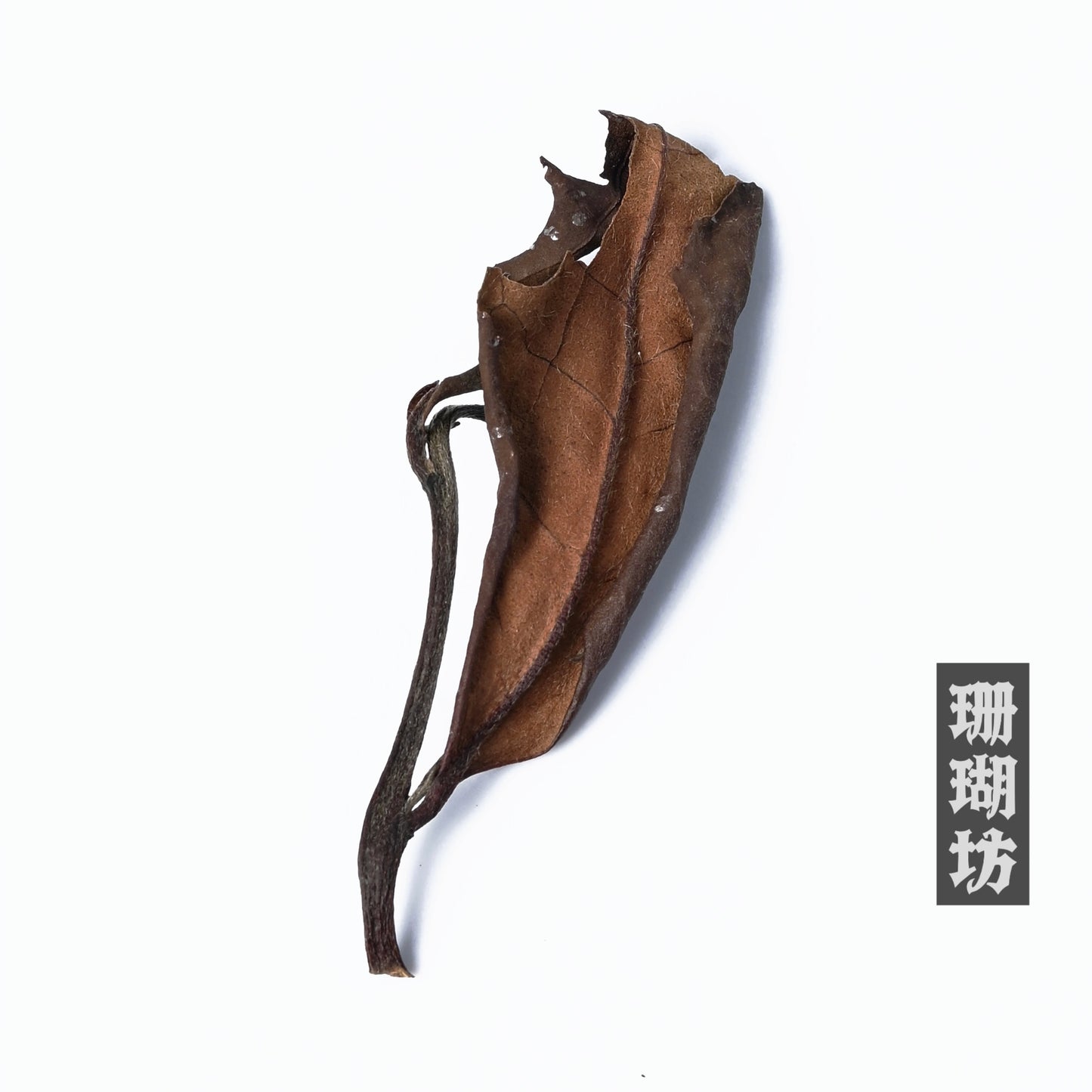 Fuding White Tea Shou Mei, 2023 Spring Harvest