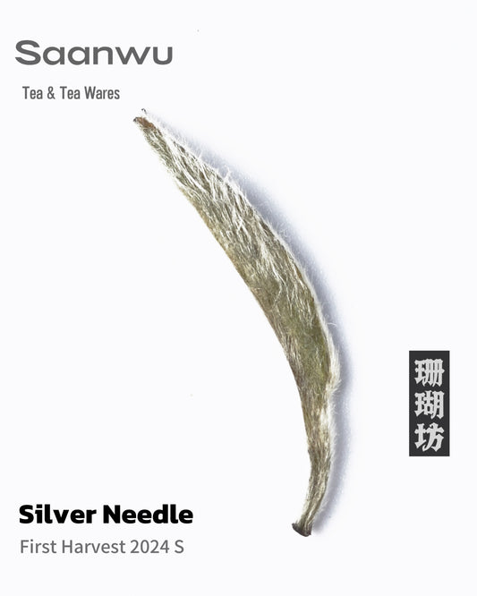 Silver Needle White Tea, First Spring 2024 Harvest – Premium Chinese Tea
