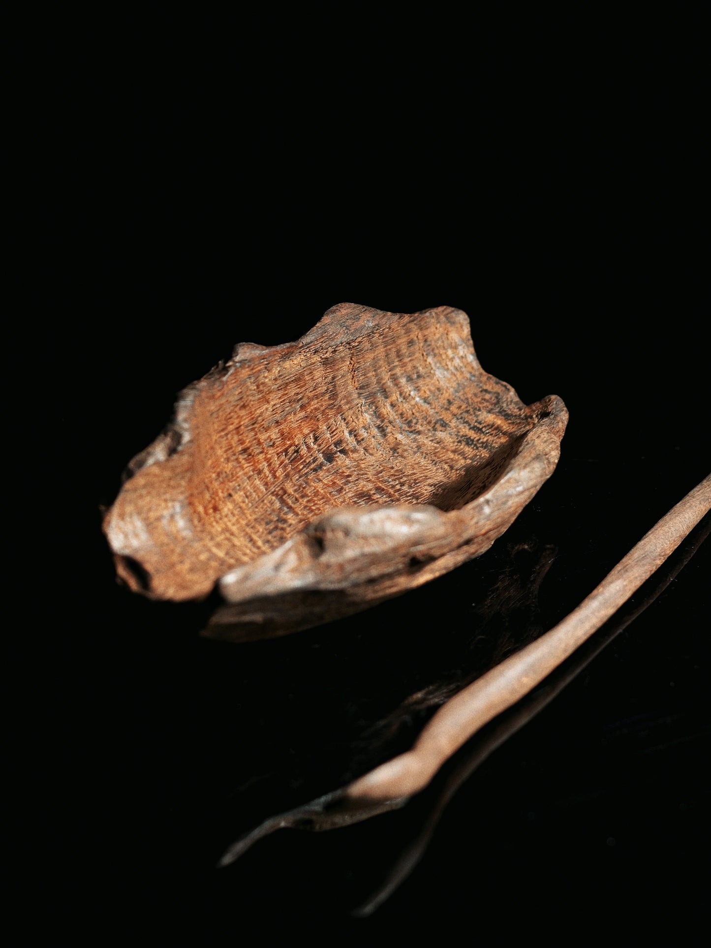 Hand-Carved Wabi-Sabi Irregular Wooden Tea Scoop