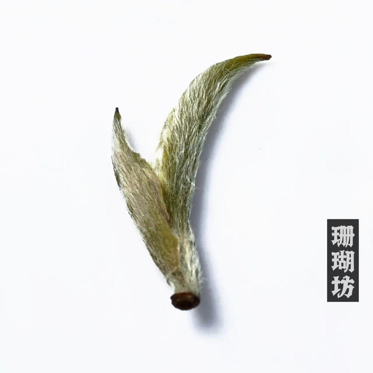 Huangshan Maofeng Green Tea, First Spring 2025 Harvest