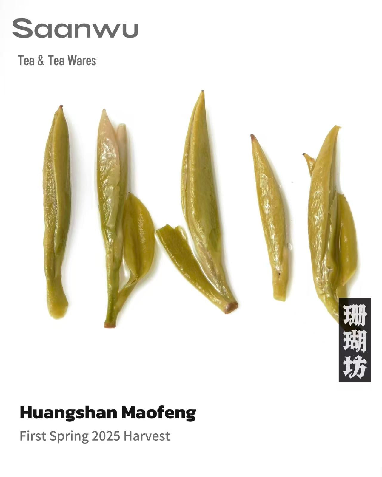 Huangshan Maofeng Green Tea, First Spring 2025 Harvest