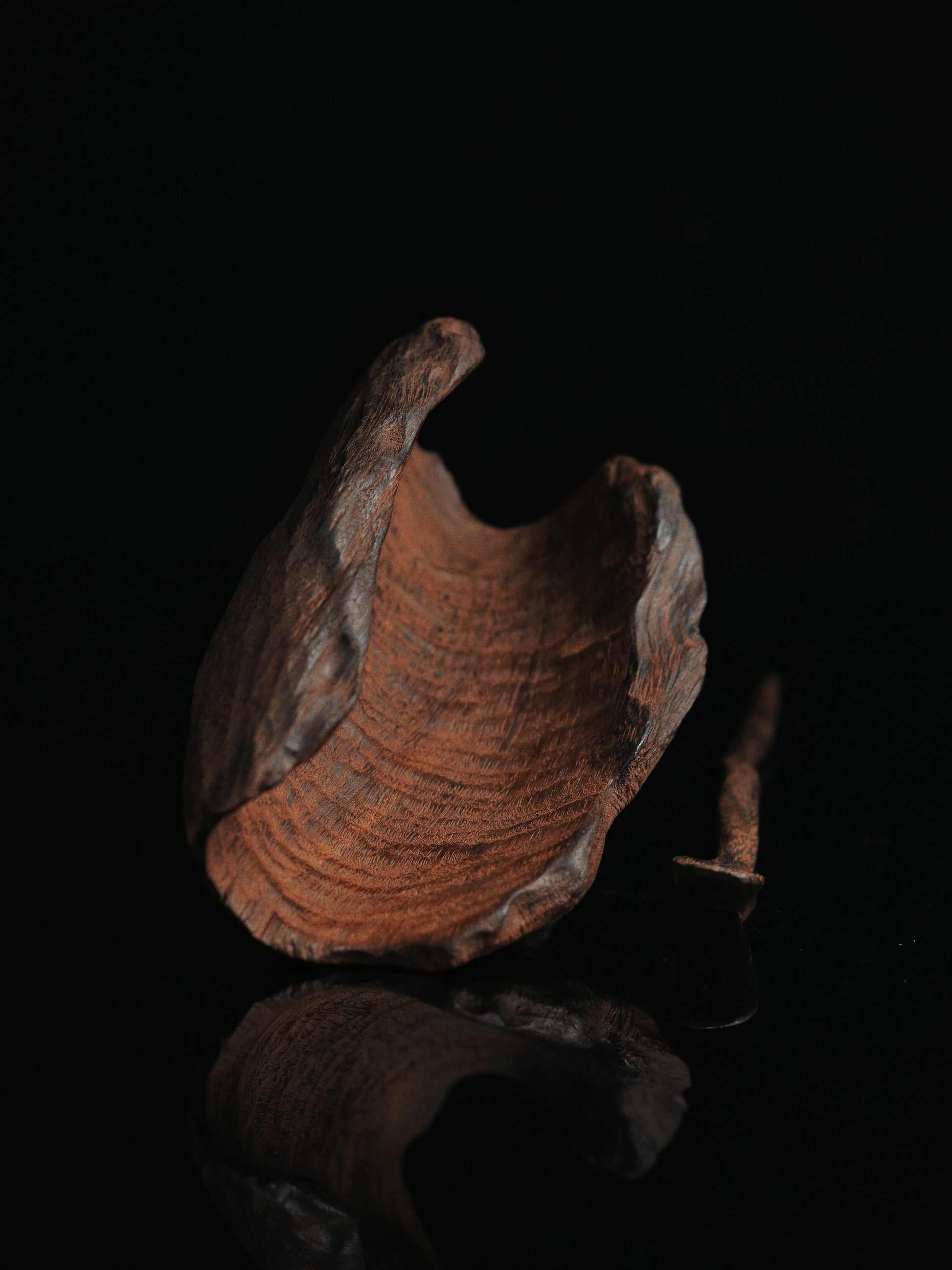 Natural iron wood tea scoop with wabi-sabi aesthetic, hand-polished and carbonized for tea service