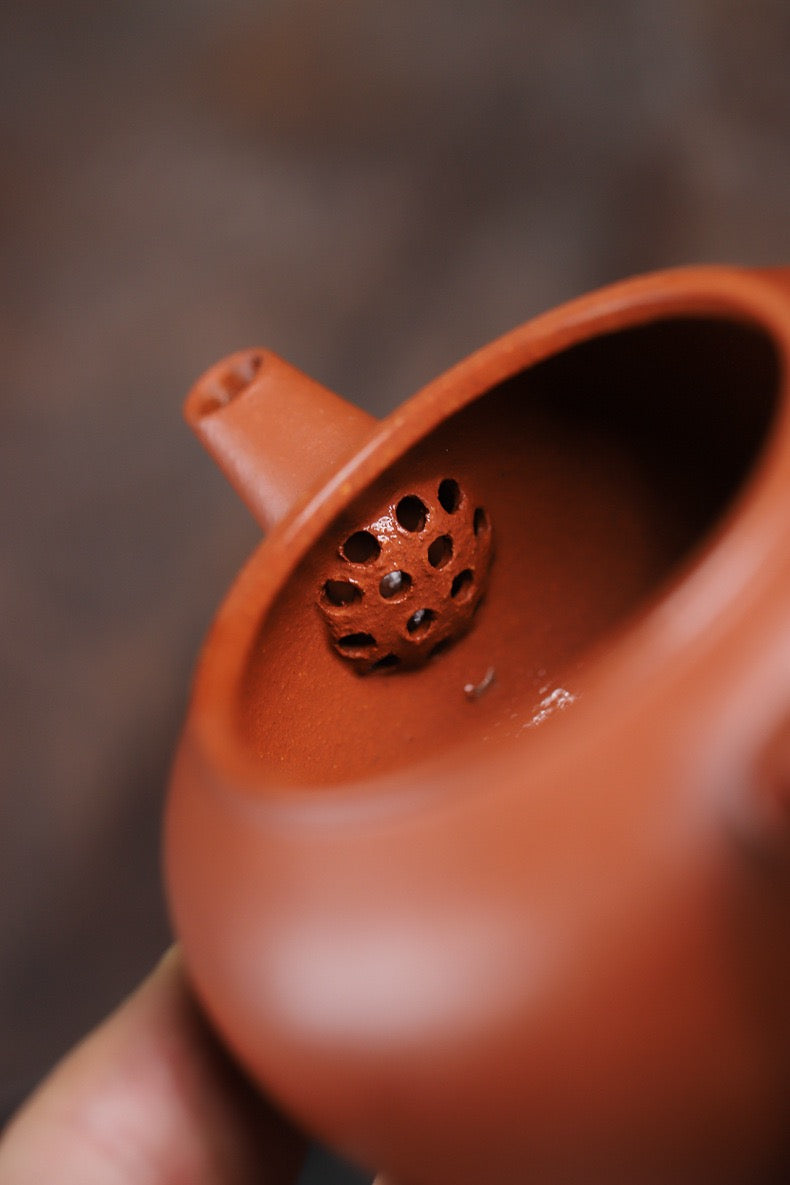 Saanwu Studio Yixing Jiangpo clay level teapot for oolong tea session