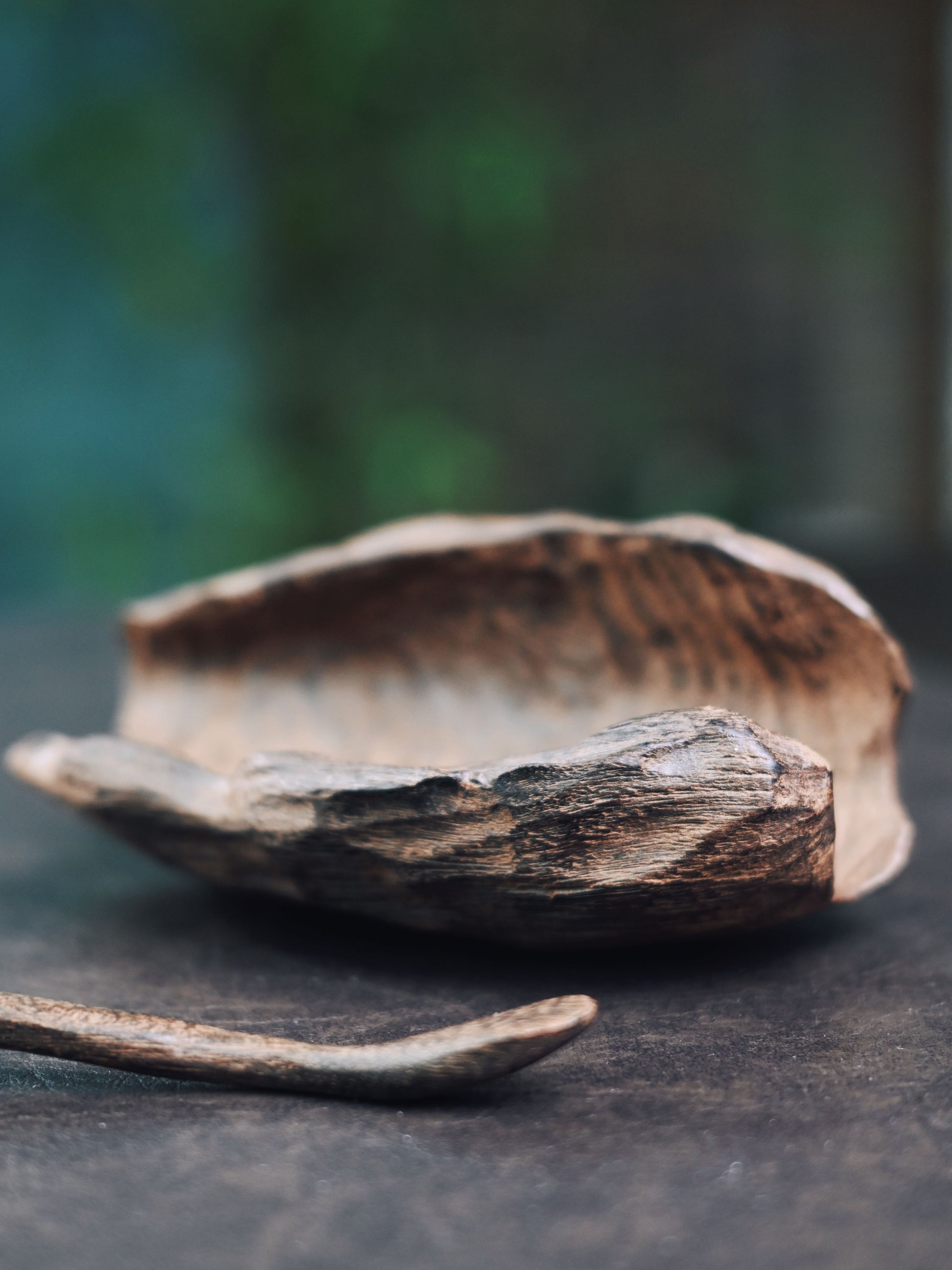 Japanese-inspired tea scoop for measuring loose leaf tea, made from natural carbonized iron wood
