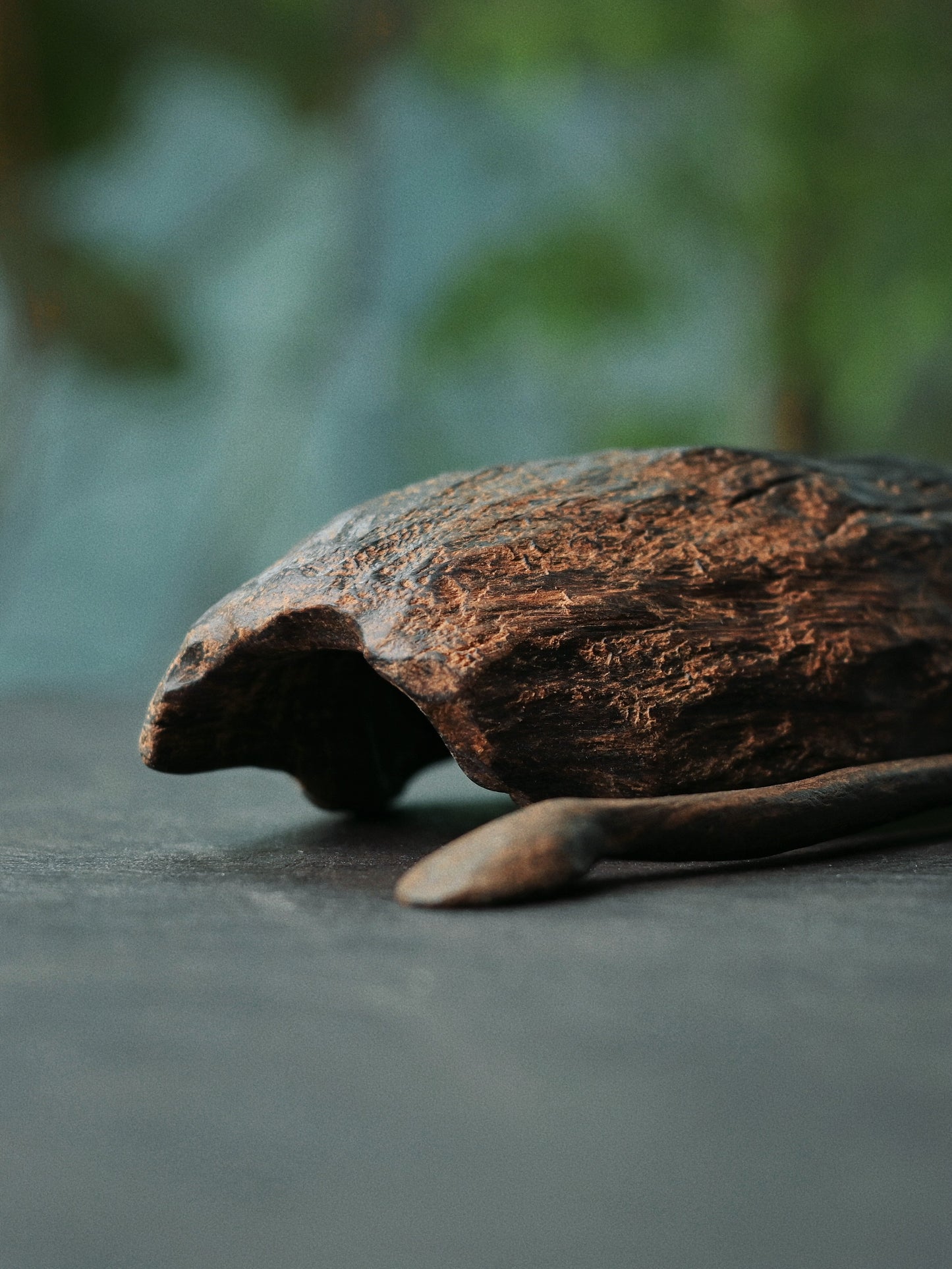 Hand-Carved Wabi-Sabi Irregular Wooden Tea Scoop