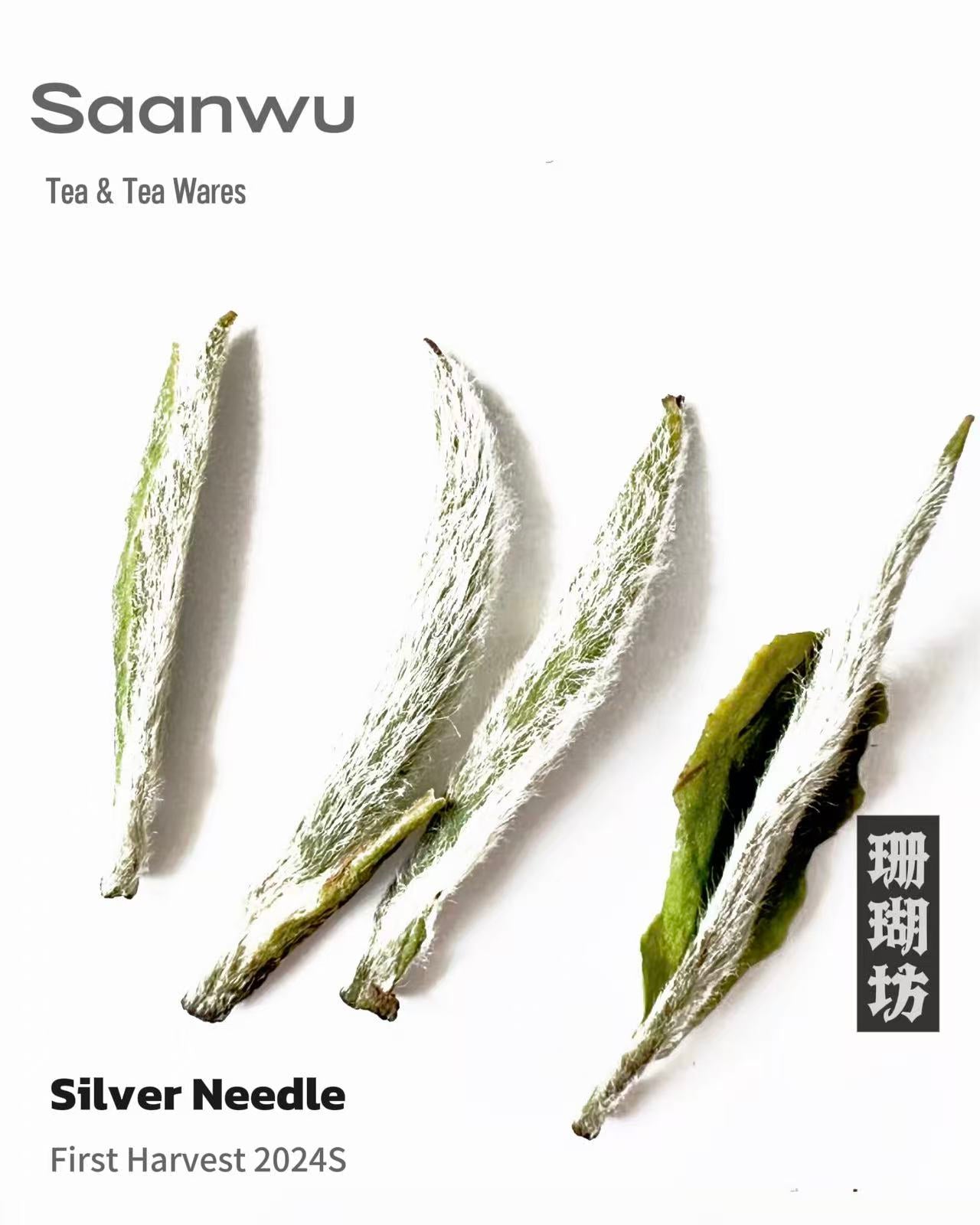 Silver Needle White Tea, First Spring 2024 Harvest