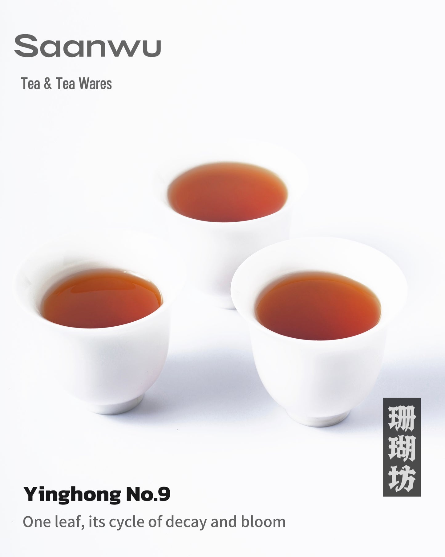 Chinese Black Tea 2025 – Yinghong No. 9, First Spring Harvest
