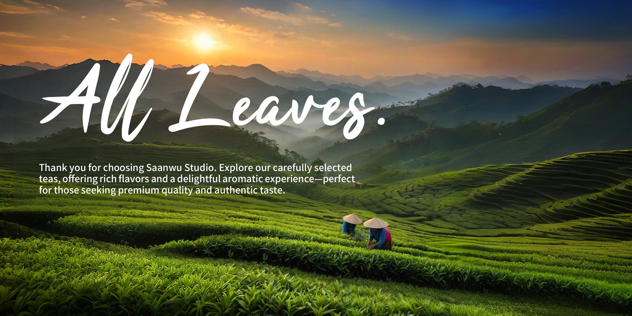 All Leaves