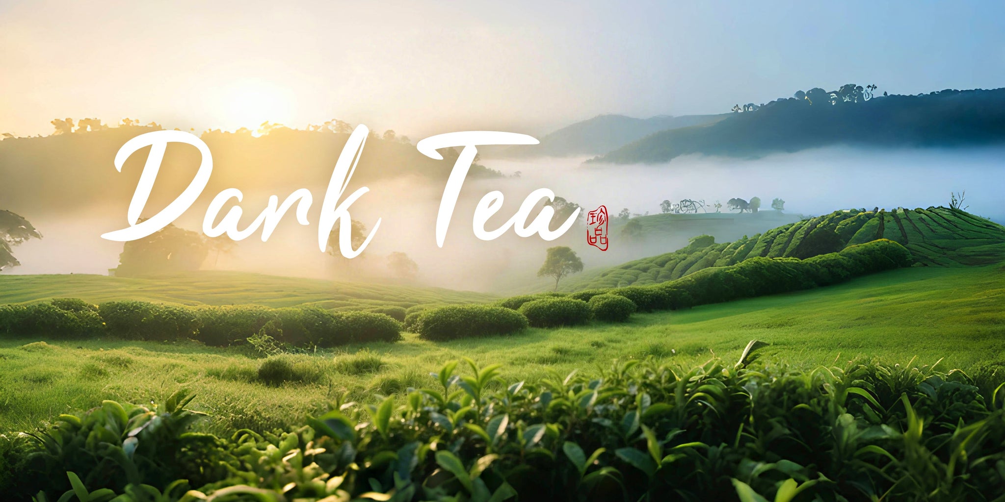Dark Tea
