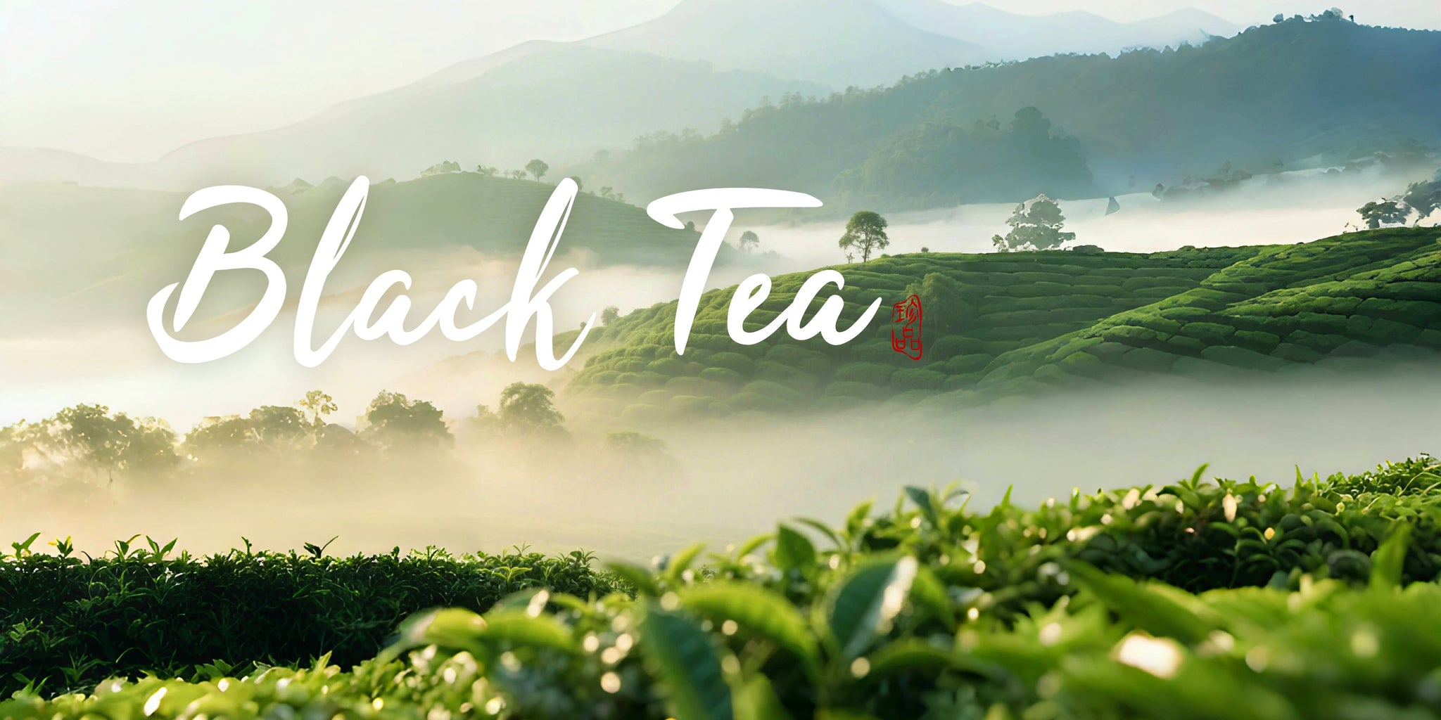 Black Tea