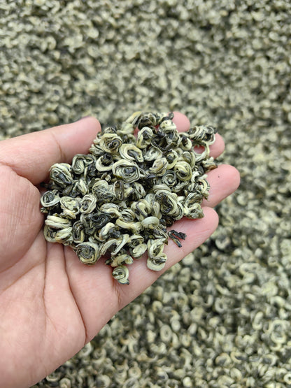 2026 "First-Pick" Pre-Chingming Bi Luo Chun Green Tea