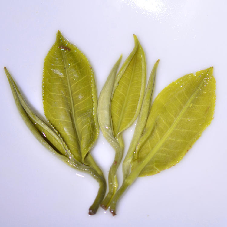 2026 "First-Pick" Pre-Chingming Bi Luo Chun Green Tea