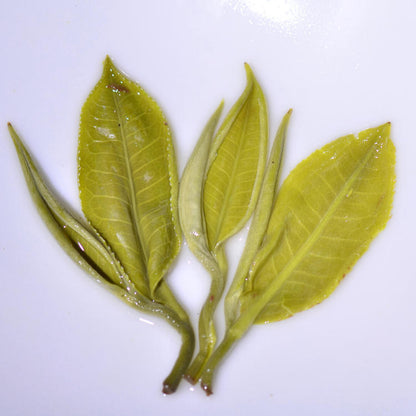 2026 "First-Pick" Pre-Chingming Bi Luo Chun Green Tea