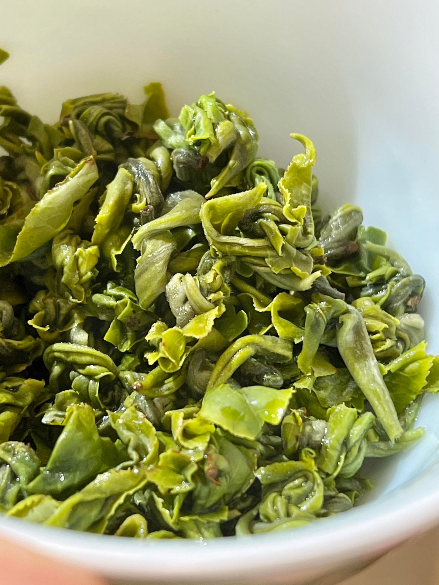 2026 "First-Pick" Pre-Chingming Bi Luo Chun Green Tea