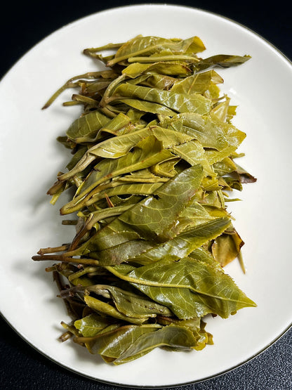 2020 Aged Bingdao Laozhai Ancient Tree Pu Erh Tea