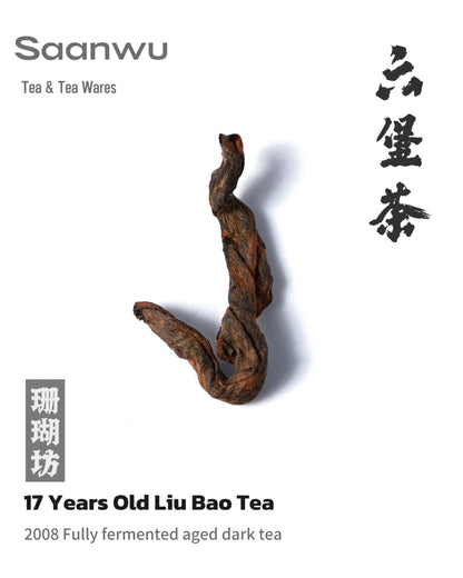 2008 Aged Golden Buds Liubao Tea with Apricot Kernel Aroma – Traditional Chinese Aged Tea
