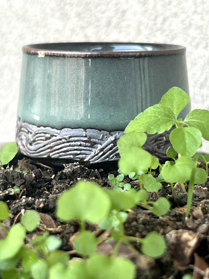 Longquan Celadon Pflaumengrün Teetasse Teezubereitung Einzelbecher