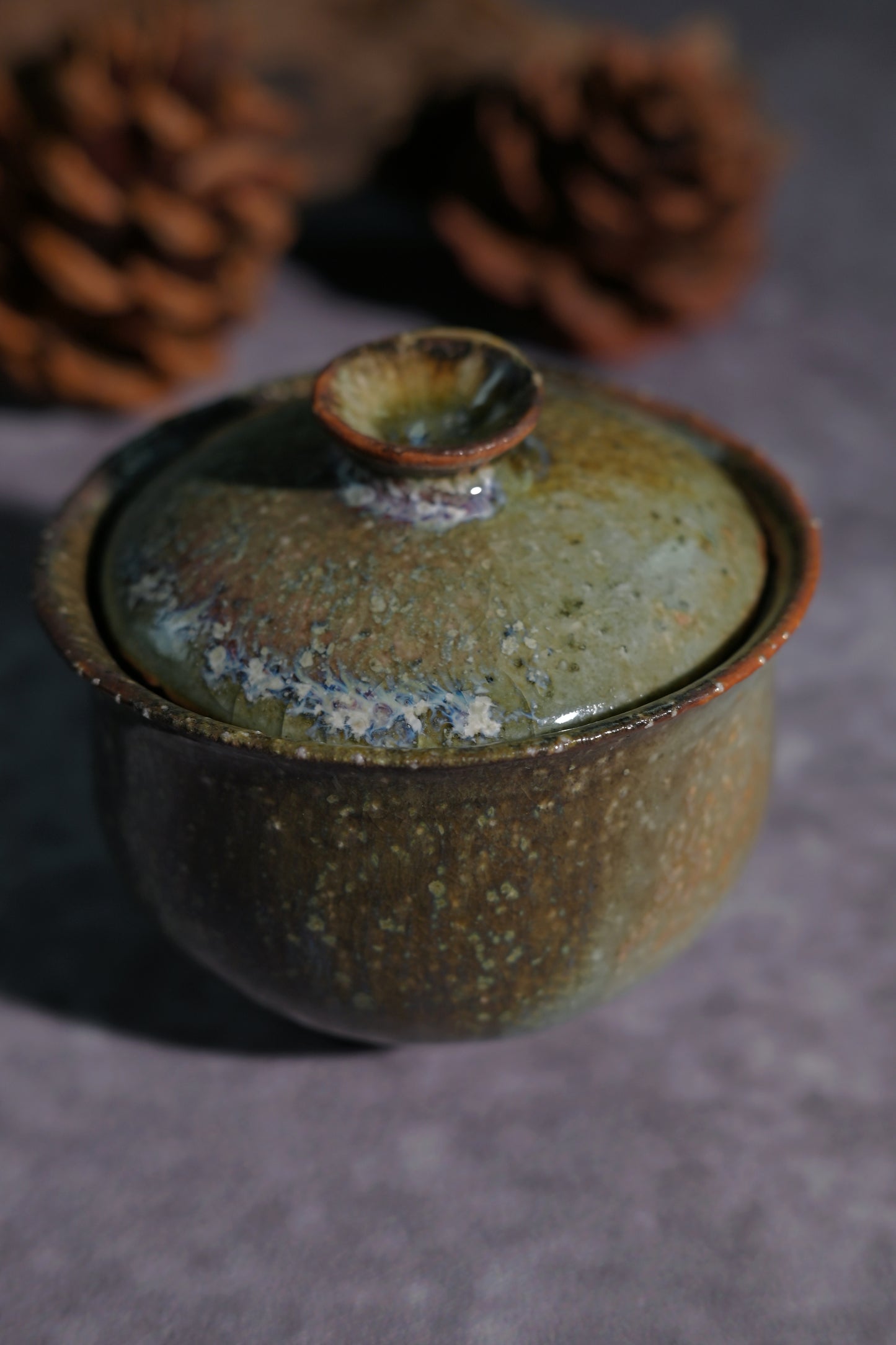 Unique Piece Wabi-Sabi Coarse Pottery Wood-Fired Gaiwan 130ml
