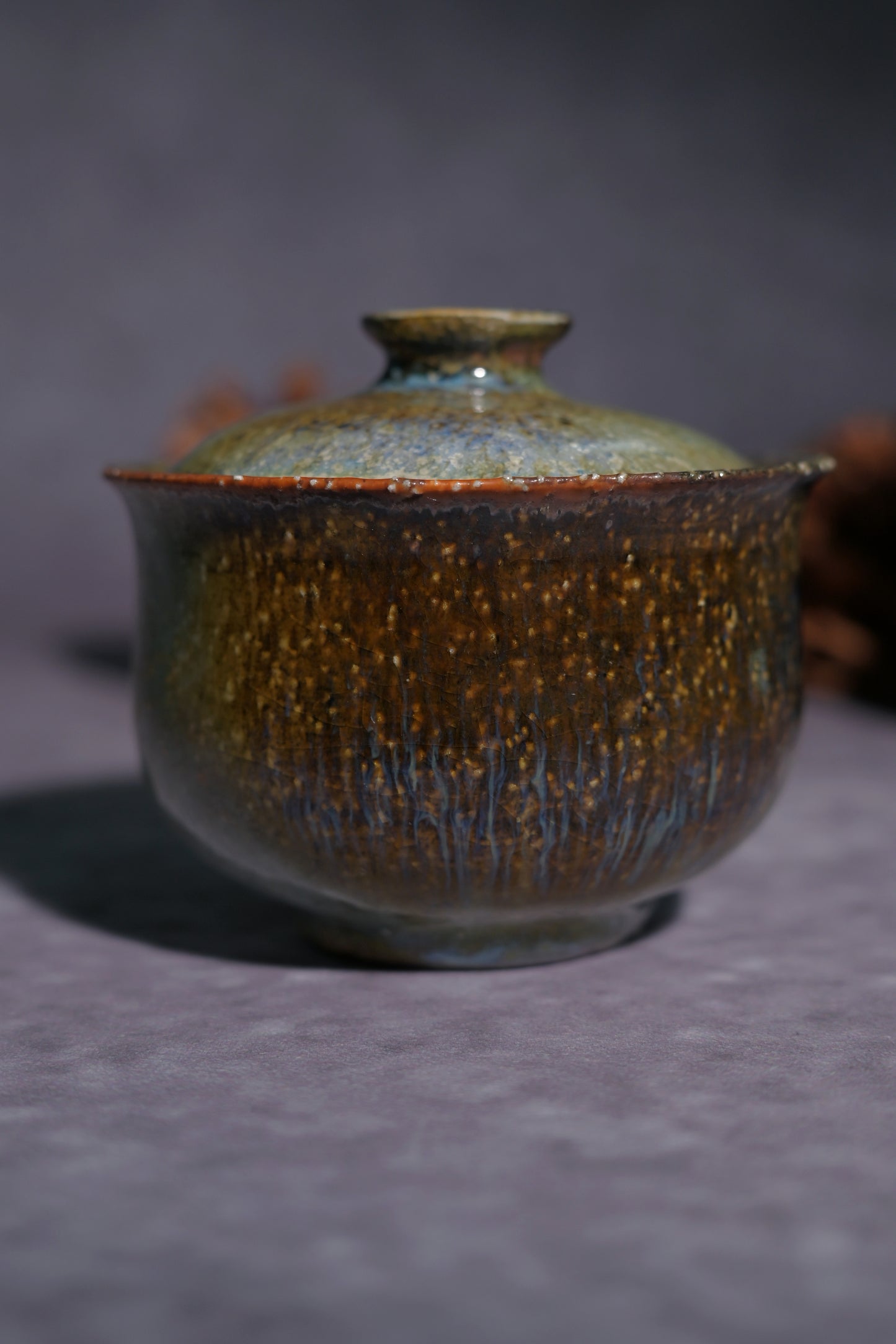 Unique Piece Wabi-Sabi Coarse Pottery Wood-Fired Gaiwan 130ml