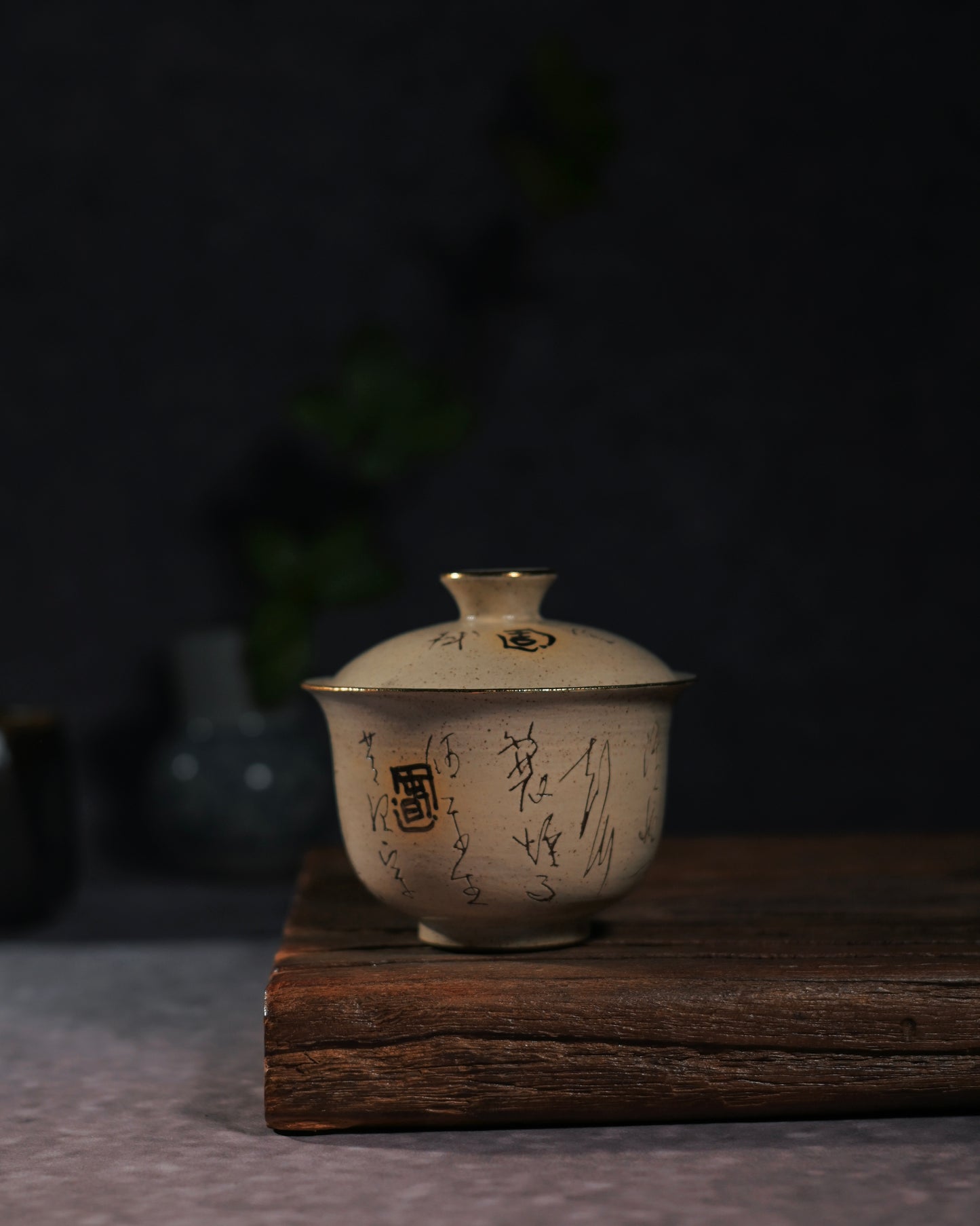 Unique Piece Hand-Painted "Calming the Waves" Calligraphy Kohiki Gaiwan 100ml