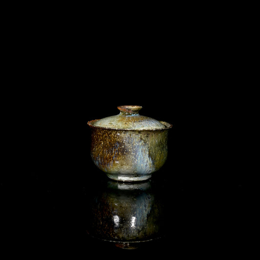 Unique Piece Wabi-Sabi Coarse Pottery Wood-Fired Gaiwan 130ml