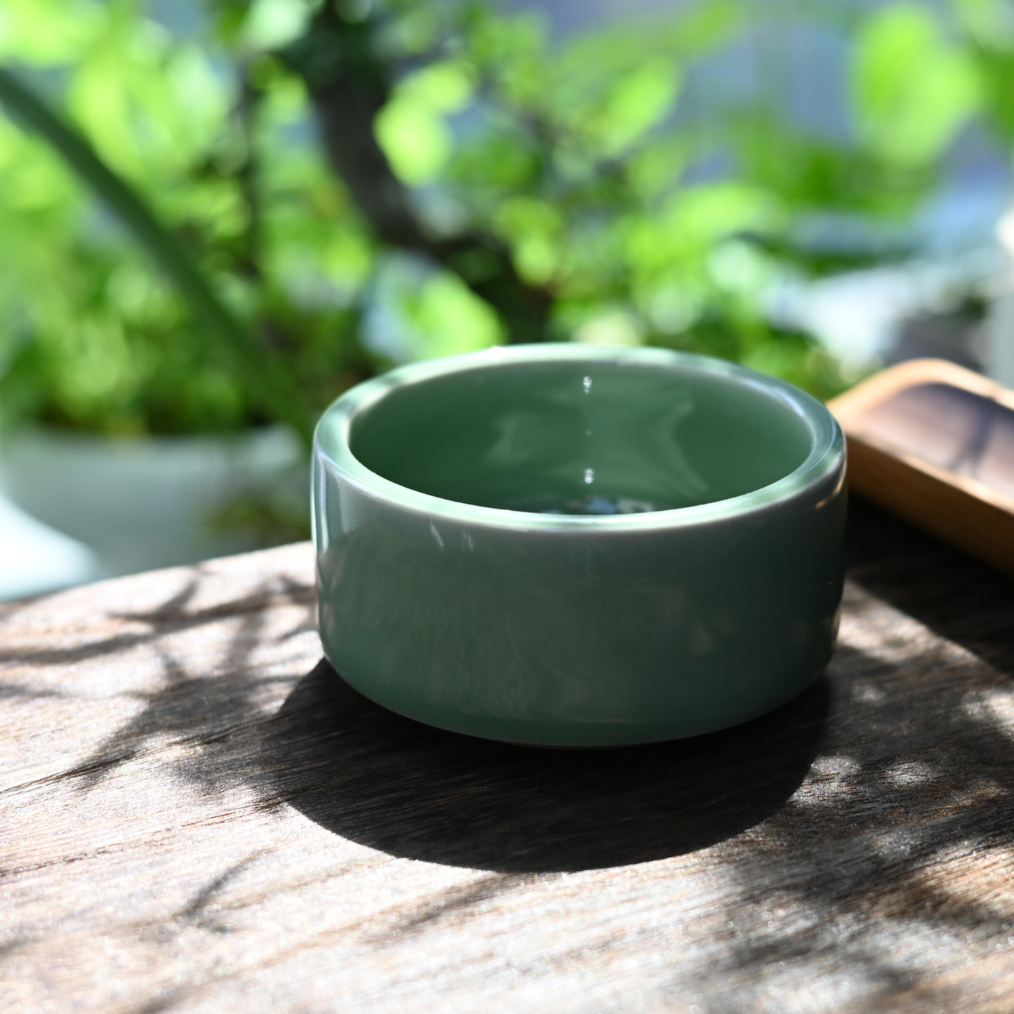 Longquan Celadon Waves Pattern Plum Green Host Tea cup