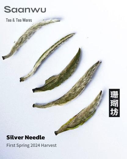 Premium 2024 Silver Needle White Tea, First Spring Harvest