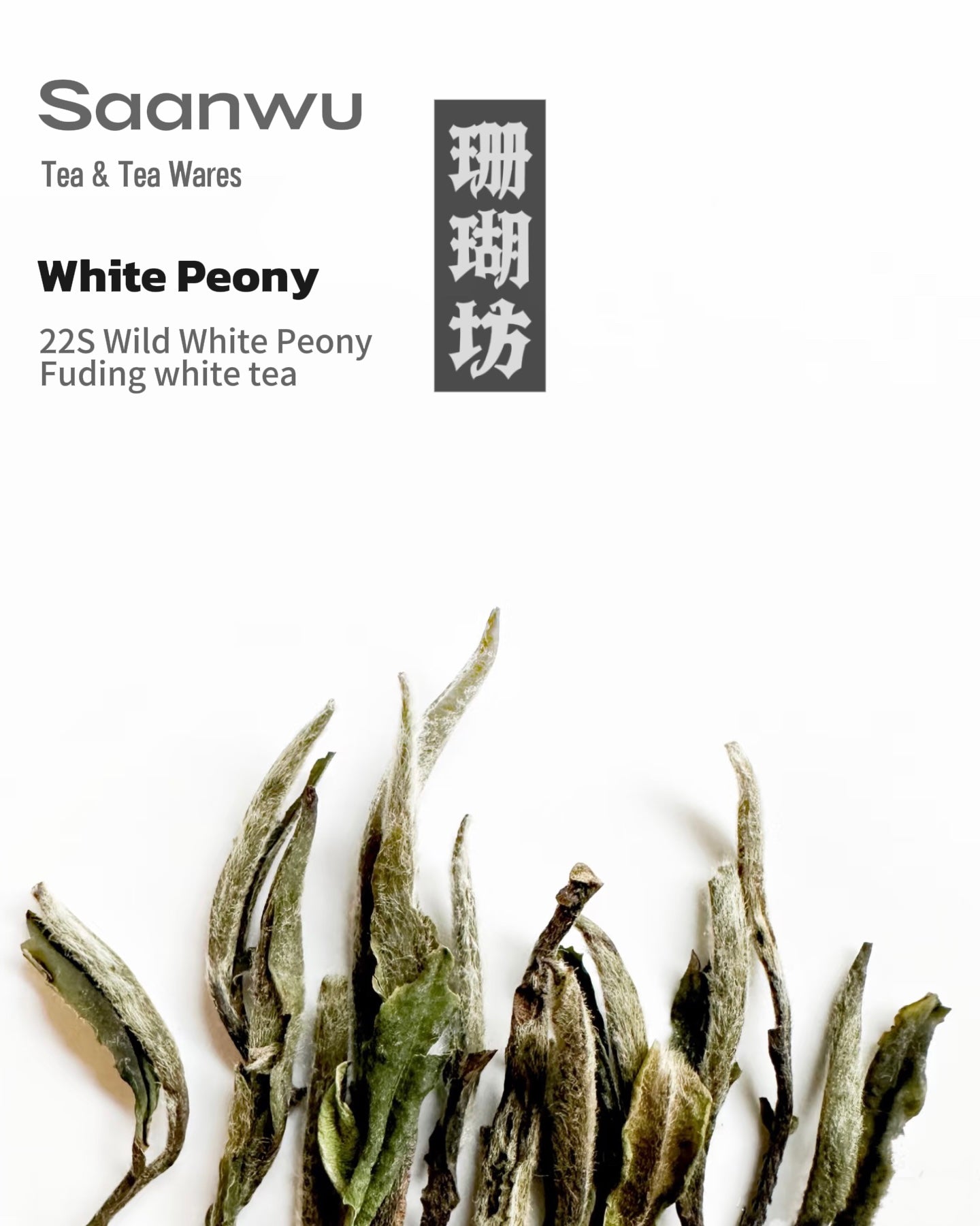  Freshly brewed cup of Wild White Peony tea emitting its distinctive aroma of wild honey, orchids, and sweet hay