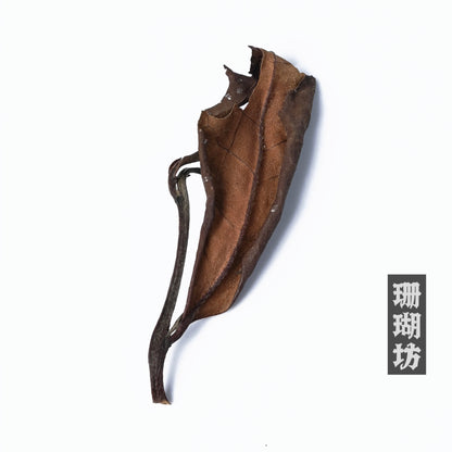 2023 Spring Harvest Fuding Shou Mei White Tea – Handpicked Leaves