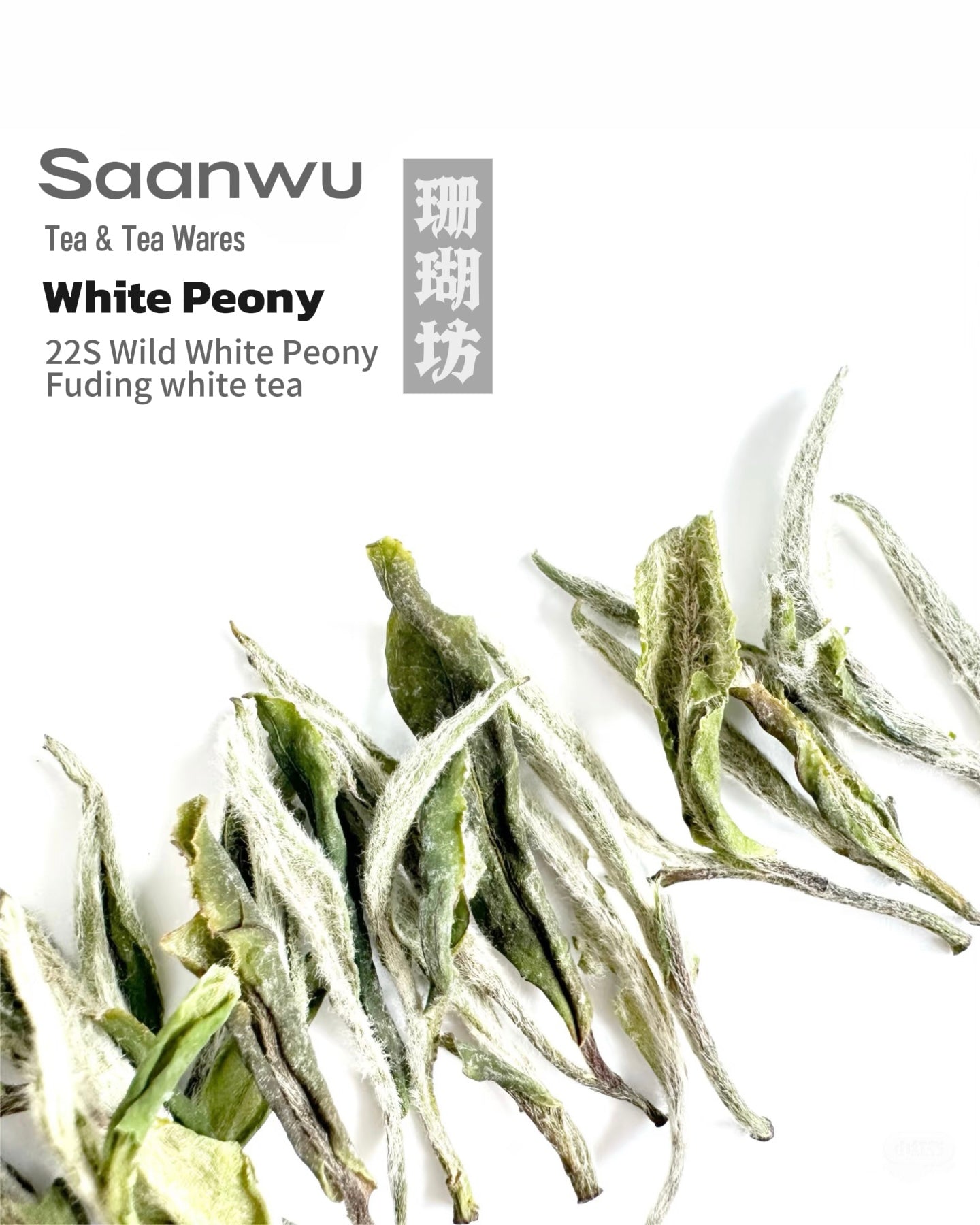 Pale golden liquor of brewed Wild White Peony tea in a glass cup, known for its clarity and refreshing honey-orchid aroma