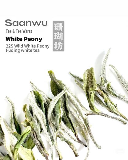 Pale golden liquor of brewed Wild White Peony tea in a glass cup, known for its clarity and refreshing honey-orchid aroma