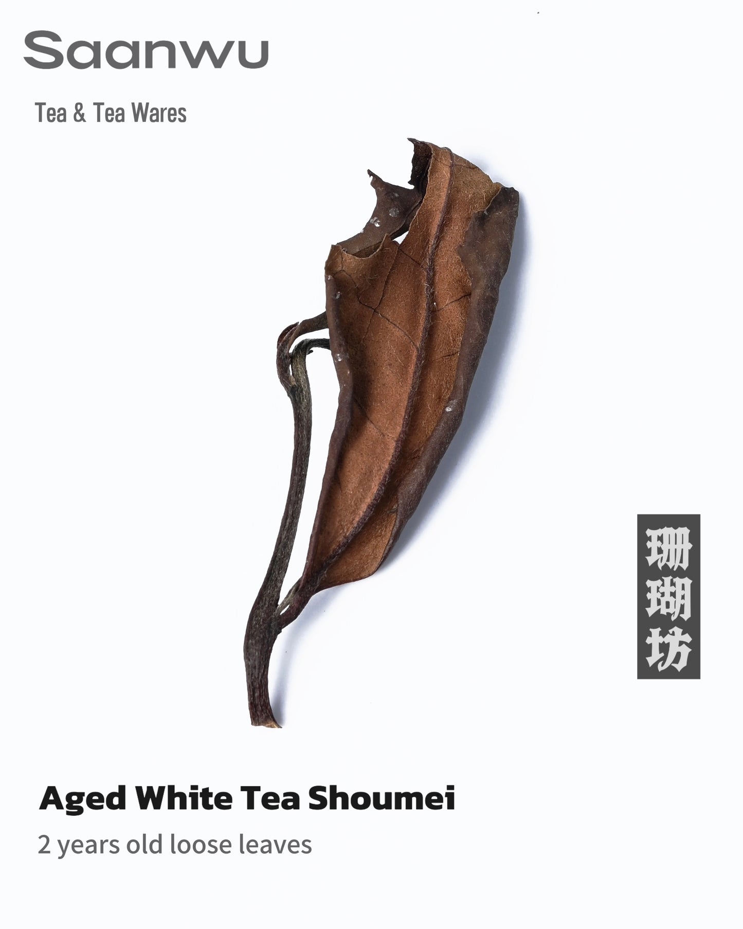 Fuding White Tea Shou Mei, 2023 Spring Harvest