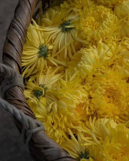 Awaken your senses with 2025 Natural Golden Silk Chrysanthemum Tea — the art of wellness in a single brew.