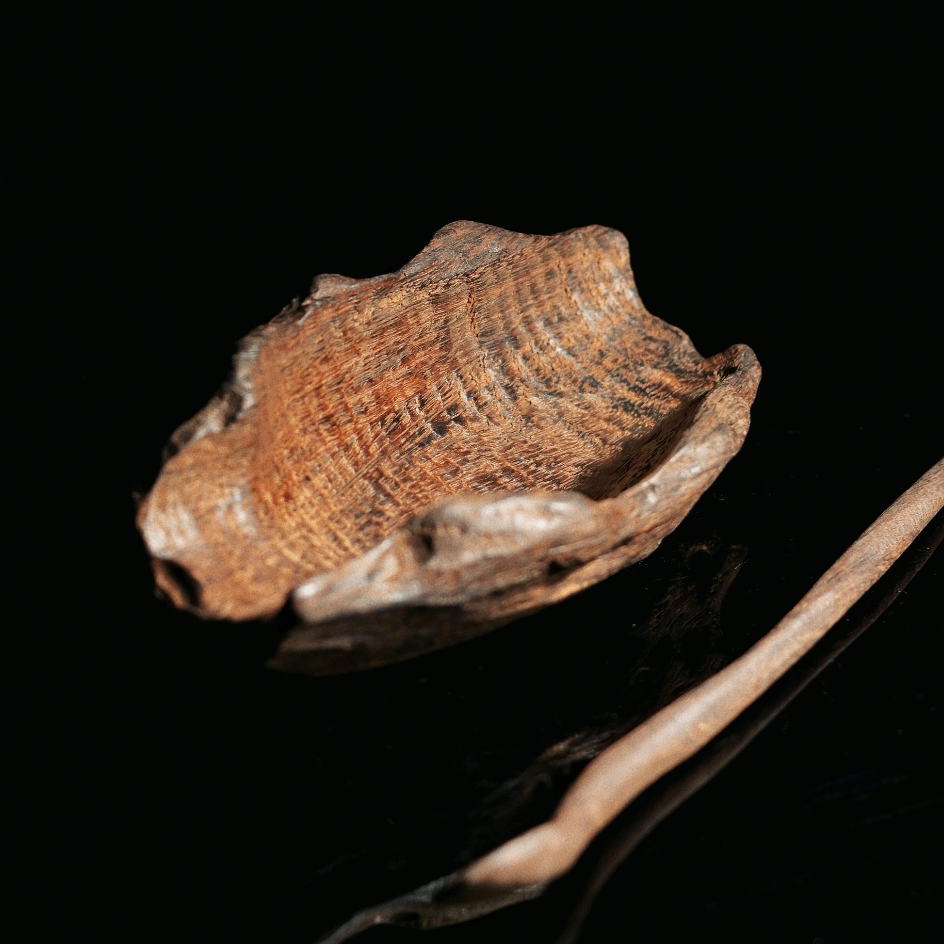  Unique tea measuring scoop, each piece irregular due to natural iron wood variations