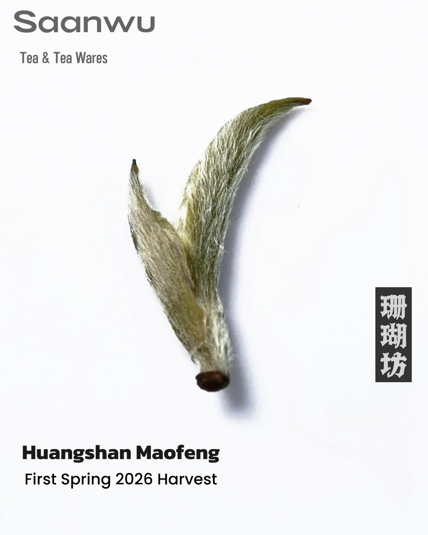 Huangshan Maofeng Green Tea, First Spring 2026 Harvest