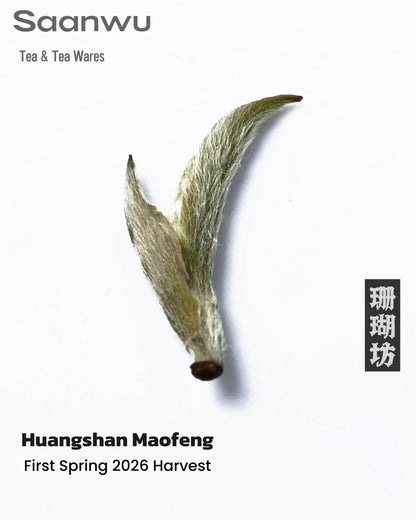 Huangshan Maofeng Green Tea, First Spring 2026 Harvest