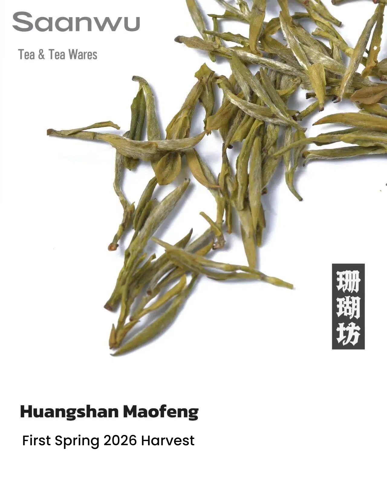 Huangshan Maofeng Green Tea, First Spring 2026 Harvest