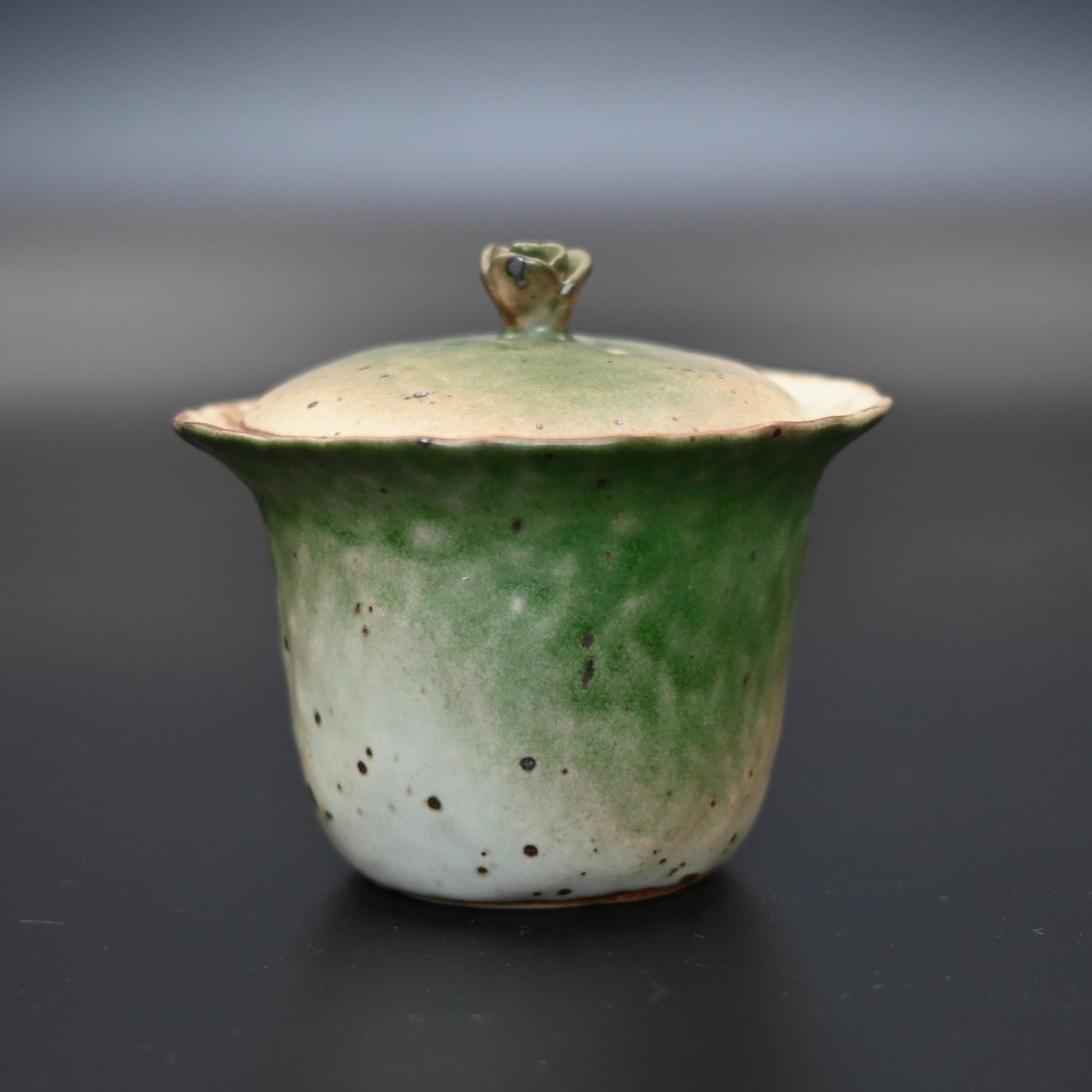 Unique Piece Jingdezhen Colored Glaze Wabi-Sabi Style Rustic Ceramic Gaiwan