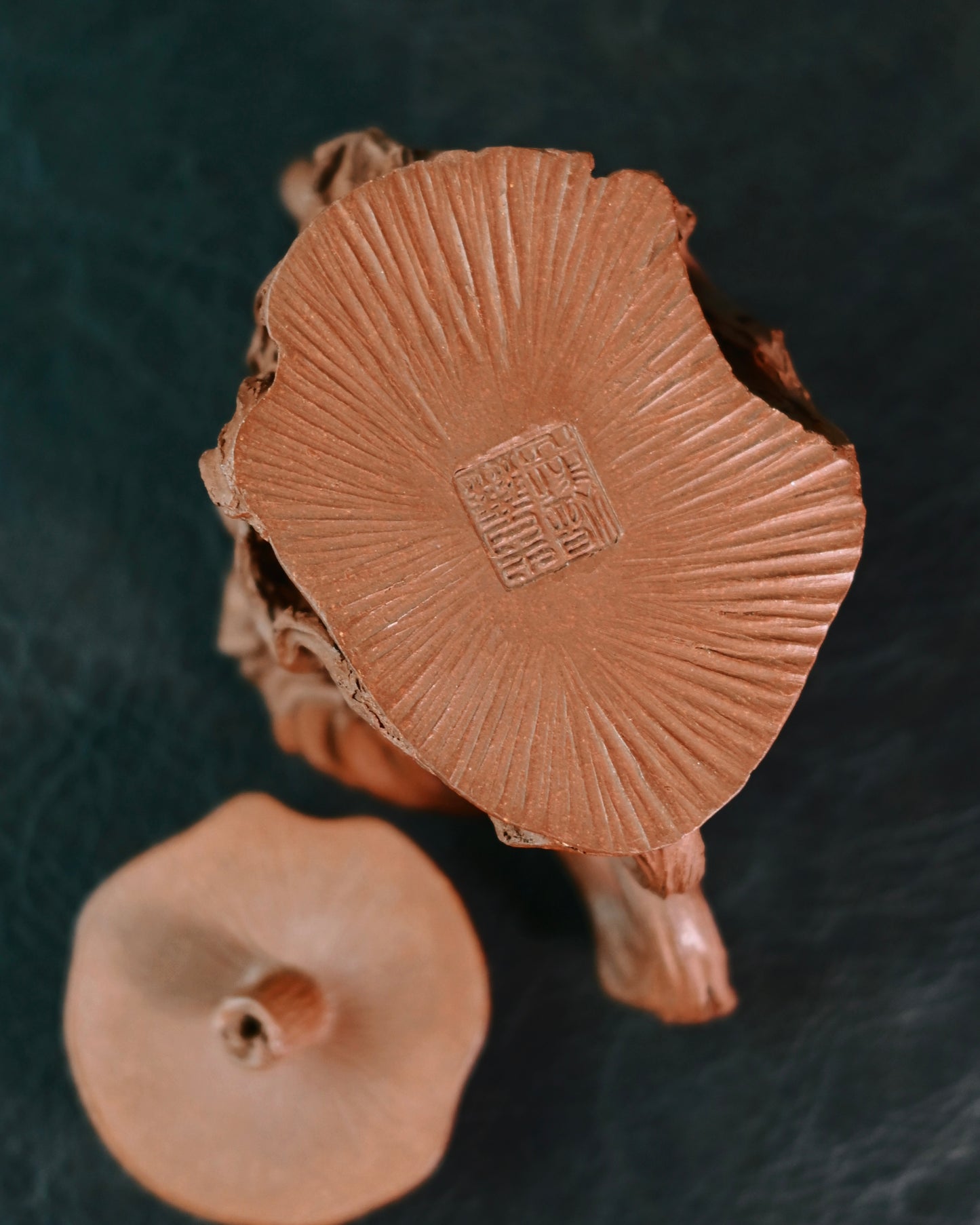 Pure purple Zisha clay showing consistent wood-like coloration