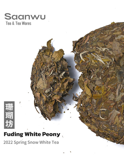 Chinese White Tea 2022 – Snow White Peony Compressed Cake, 300g Fuding Tea