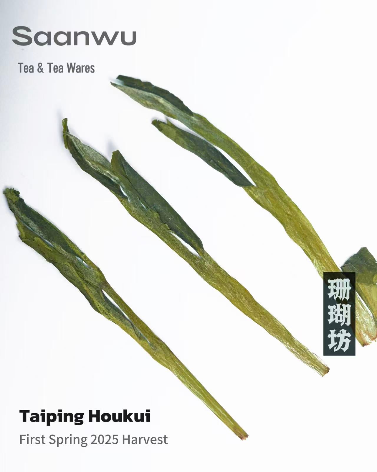 2025 First Spring Taiping Houkui Green Tea – Handpicked Specialty Tea