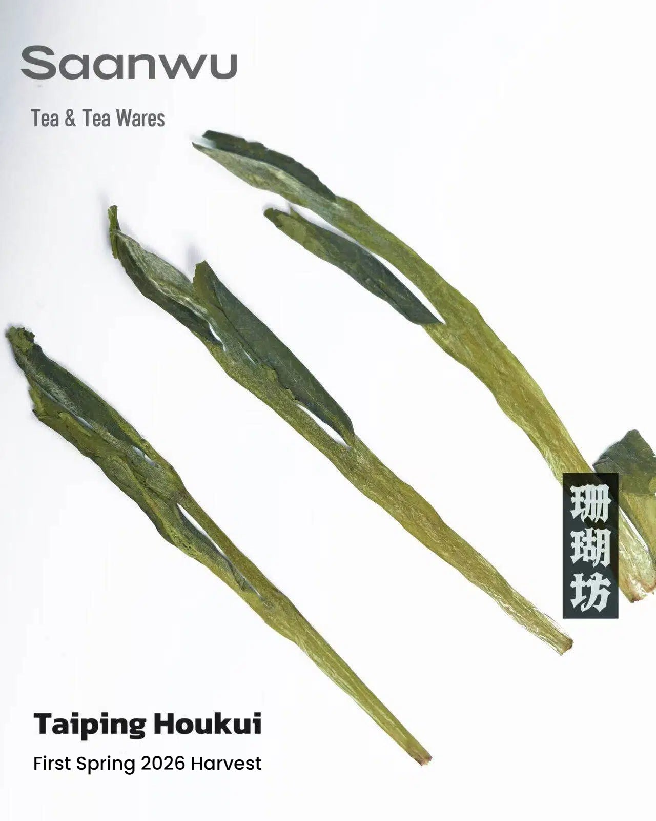Taiping Houkui Green Tea, First Spring 2026 Harvest