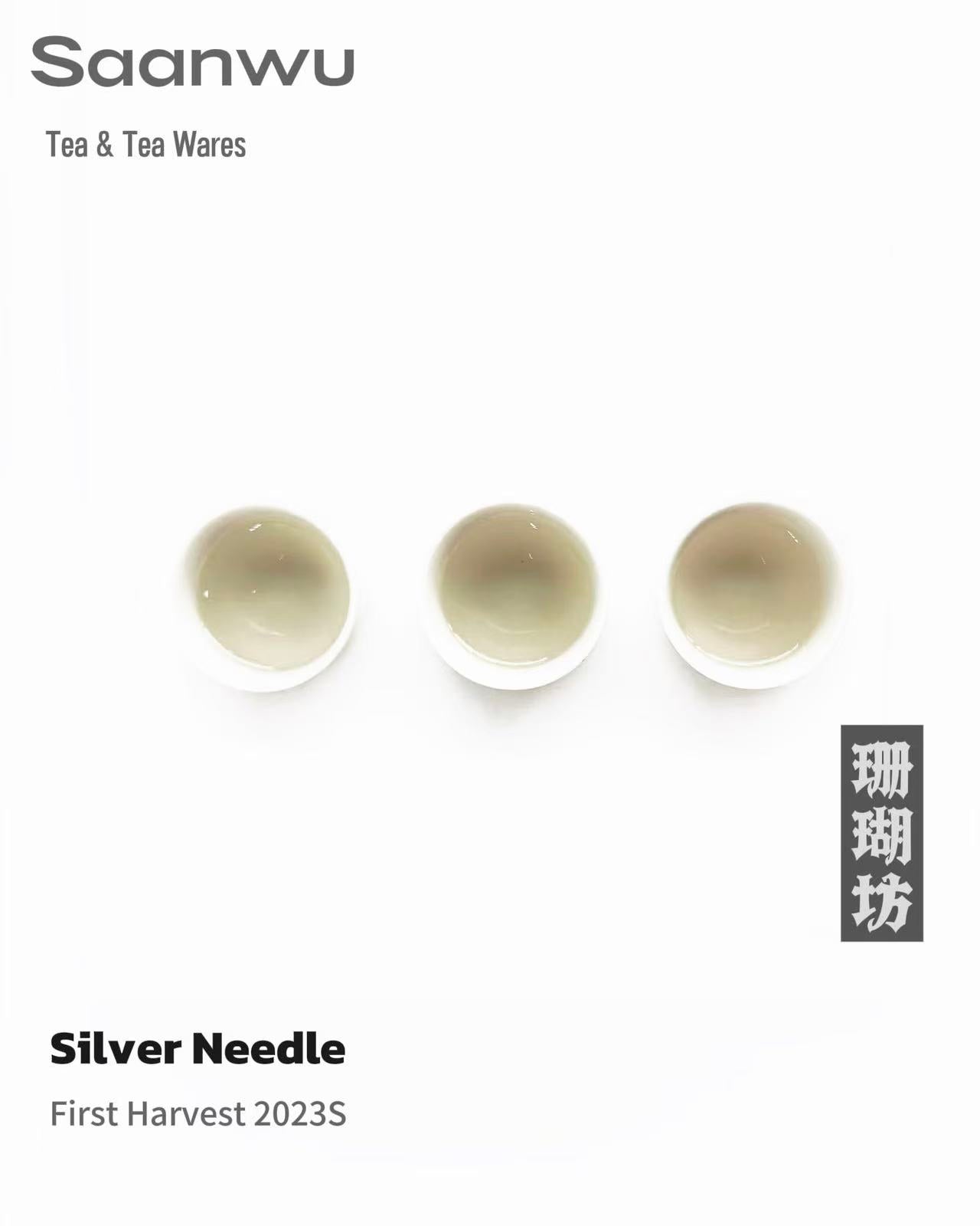 Silver Needle White Tea, First Spring 2024 Harvest