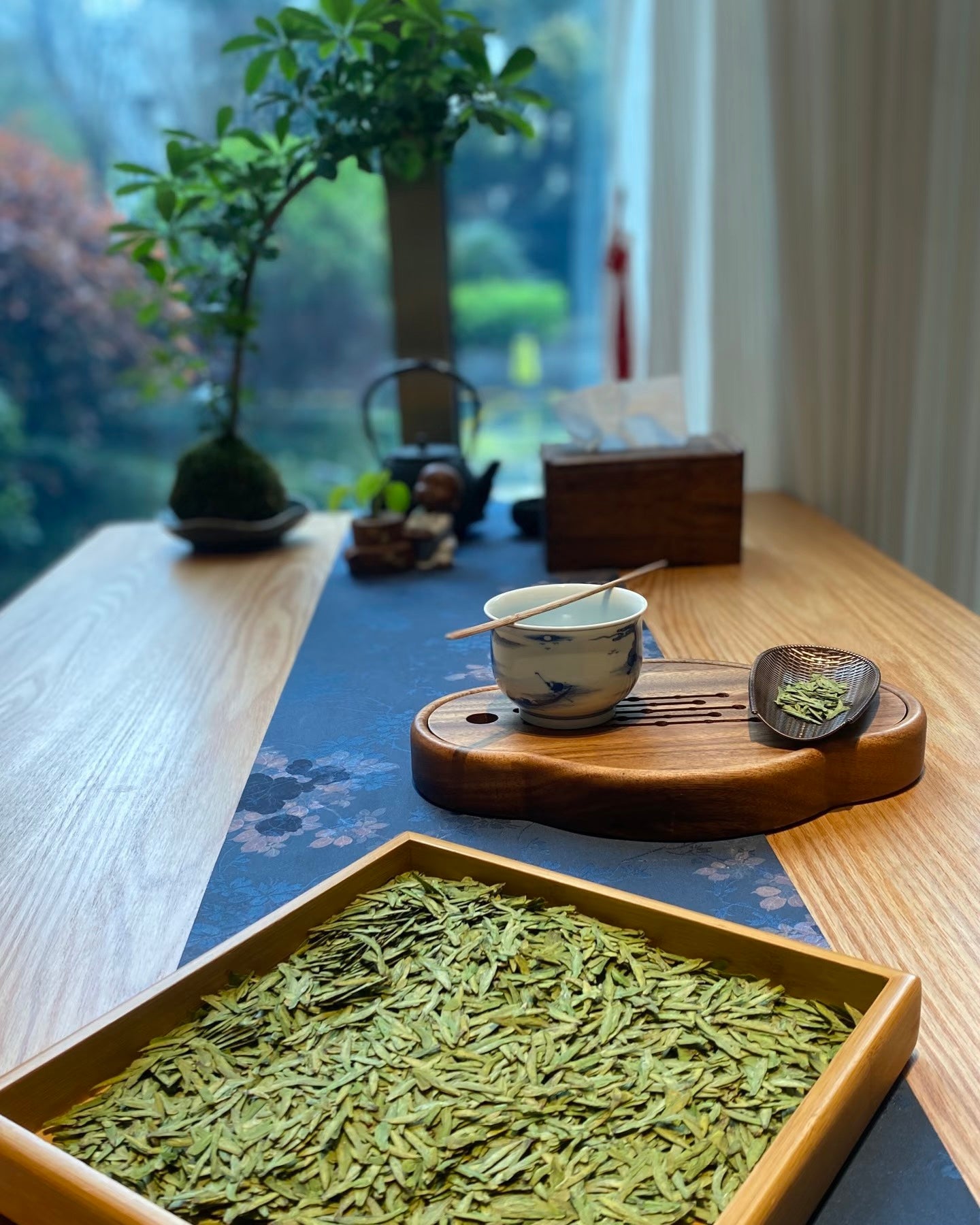 Shifeng (Lion Peak) tea gardens in West Lake region, Hangzhou – origin of premium Longjing