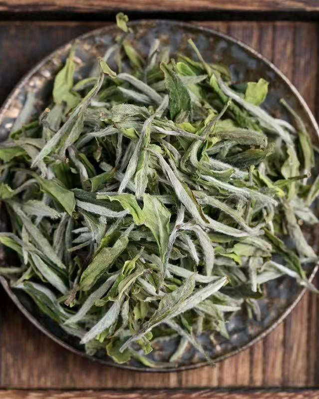 Silver buds and young leaves composition of Supreme White Peony