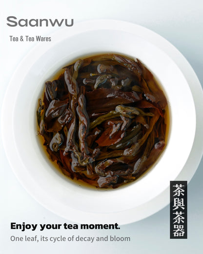2025 Spring Phoenix Dancong Oolong Tea – Wudong Songzhong Leaves