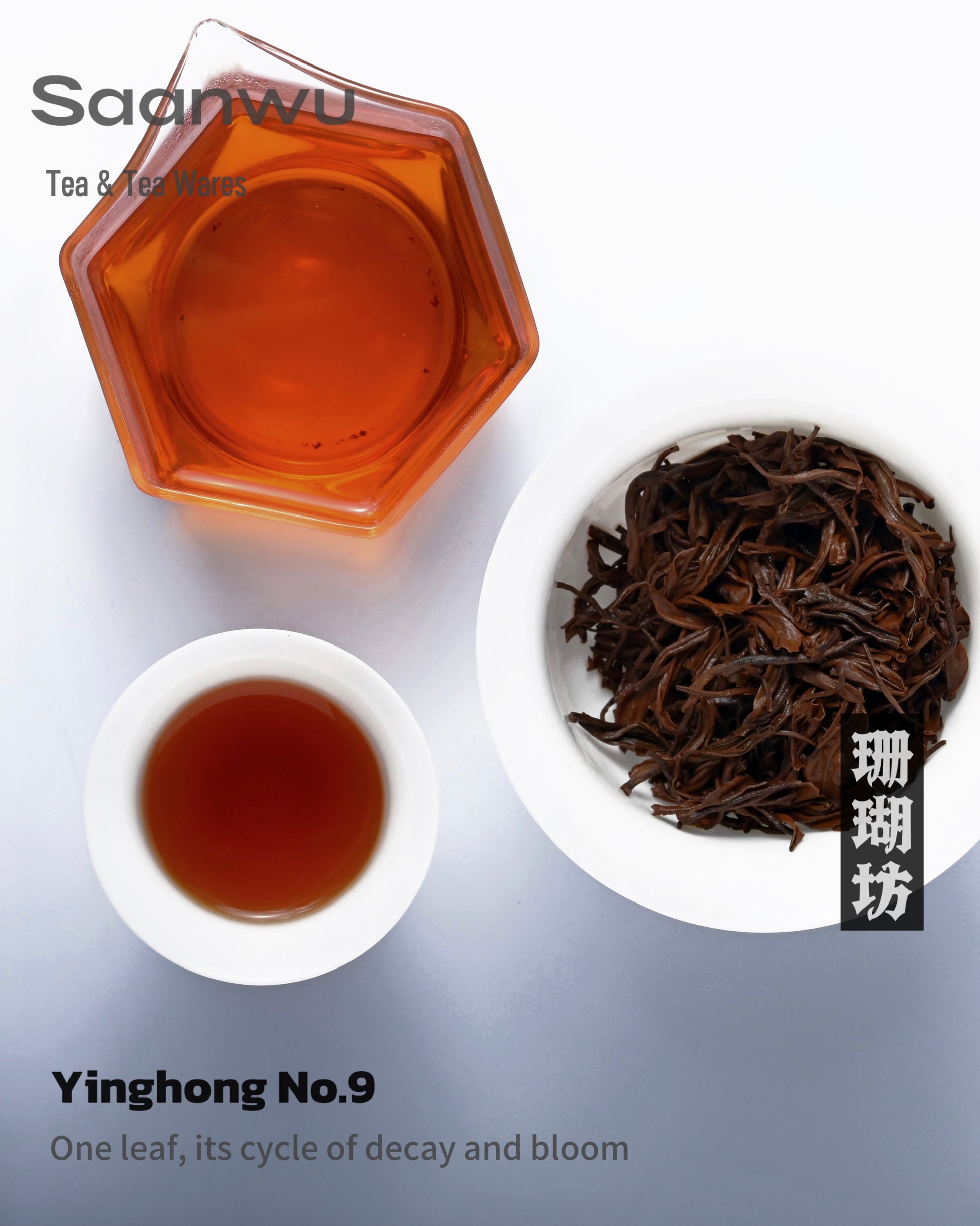 2025 First Spring Yinghong No. 9 Black Tea – Handpicked Specialty Tea