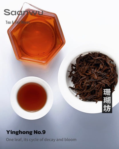 2025 First Spring Yinghong No. 9 Black Tea – Handpicked Specialty Tea